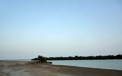 فنادق كلباء