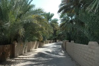 فنادق العين