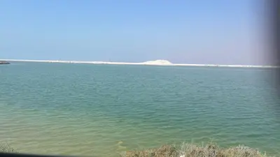 جزيرة سيينيه