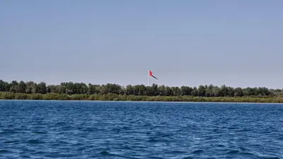 قصر البطين