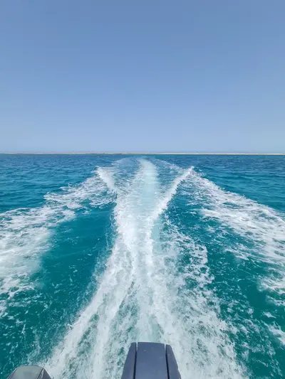 فنادق أملج