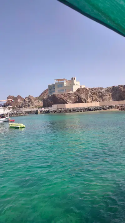 صورة دبة