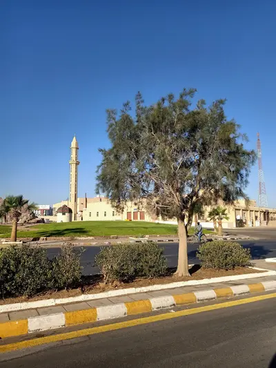 فنادق طريف