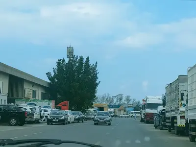 صورة العوير